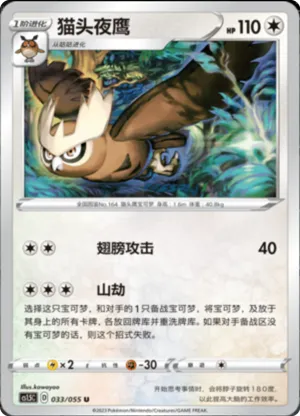 Noctowl 