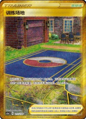 Training Court 