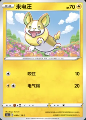Yamper 