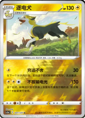 Boltund  Reverse Holo