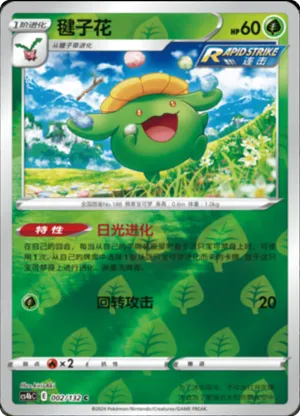 Skiploom  Reverse Holo