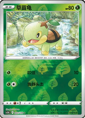 Turtwig  Reverse Holo