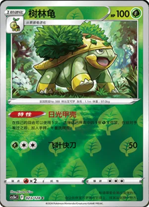 Grotle  Reverse Holo