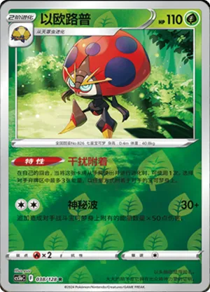 Orbeetle  Reverse Holo