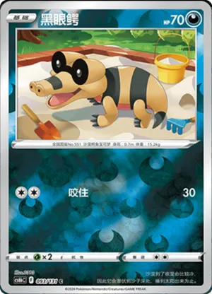 Sandile  Reverse Holo