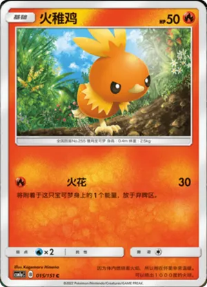 Torchic 