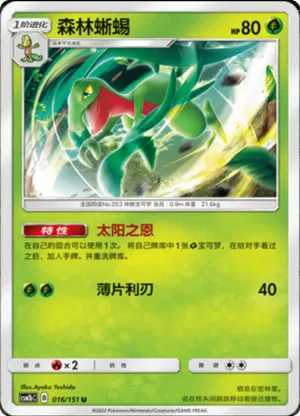 Grovyle 