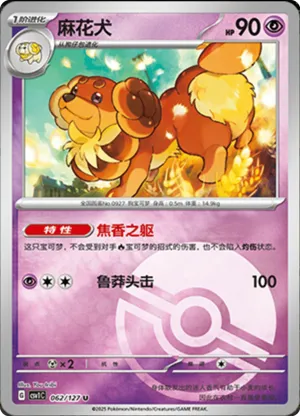 Dachsbun  Pokeball Holo