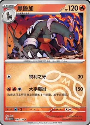 Houndoom  Master Ball Holo