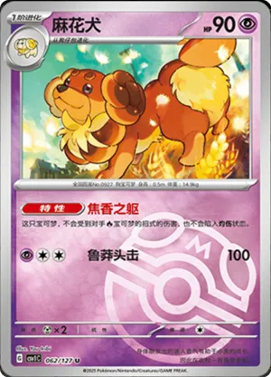 Dachsbun  Master Ball Holo