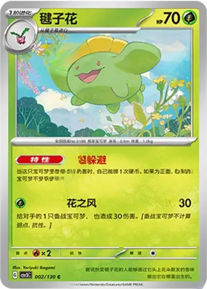 Skiploom 
